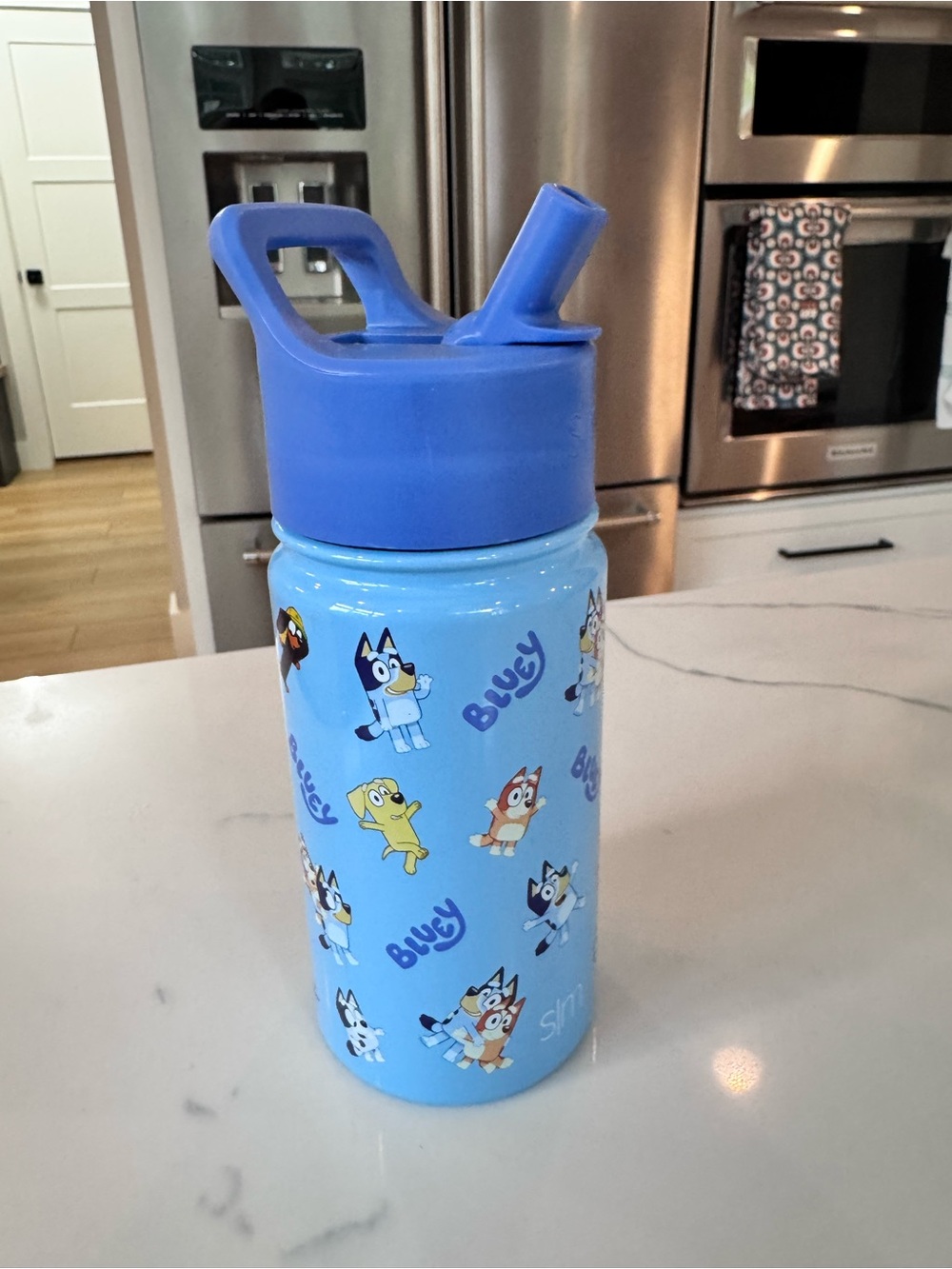 Bluey Simple Modern Kids Water Bottle 14 oz